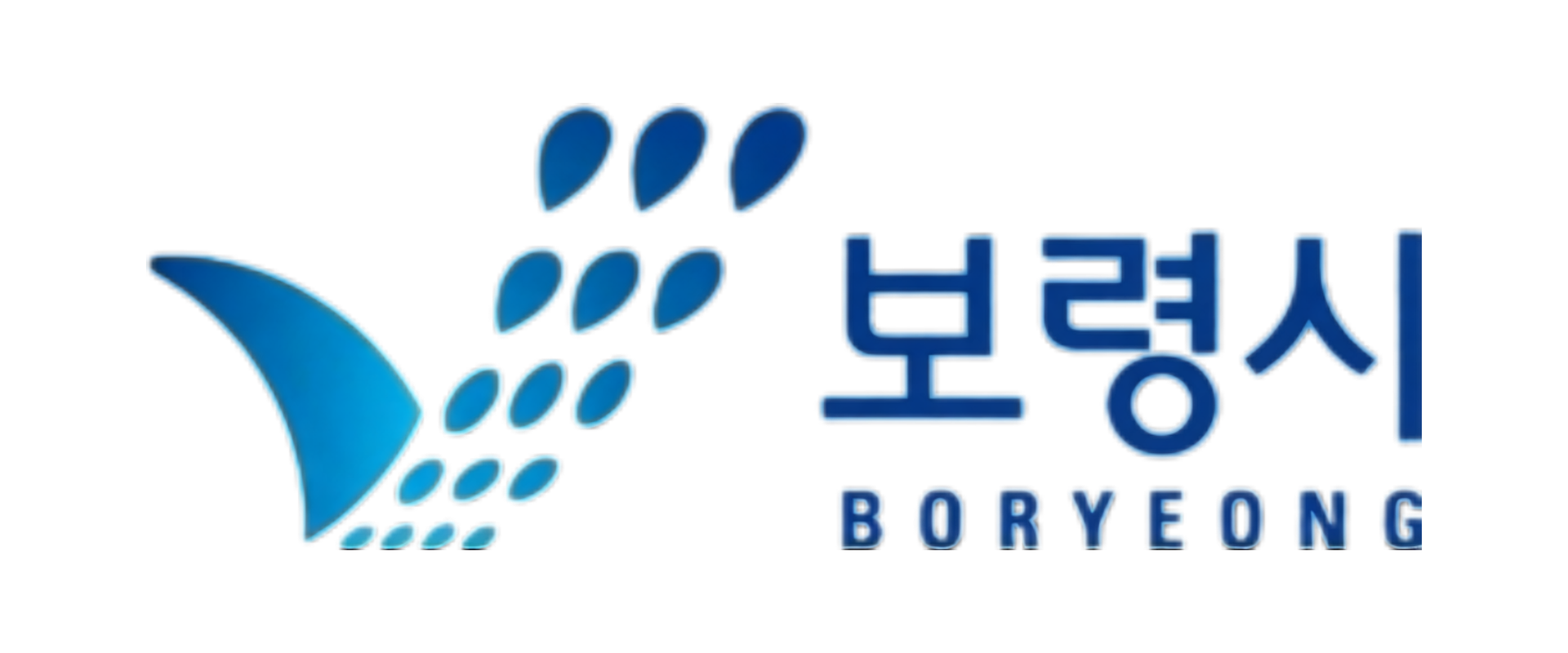 보령시